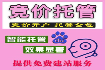 解析SEM竞价优化中的创意广告策略案例